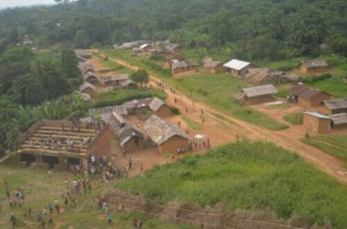 Article : Être une « expat » au Congo (RDC) : de la lune de miel à l’éveil