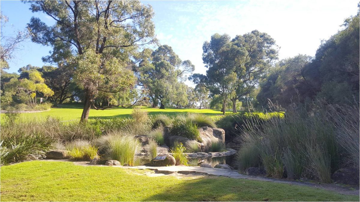 Article : Promenade au jardin botanique de Perth