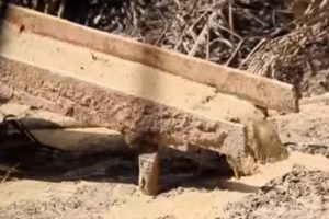 Article : L’orpaillage clandestin en Côte d’Ivoire, un phénomène aux multiples conséquences