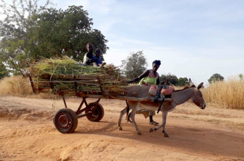 Article : Mali : le 8 mars ne se fête pas au village