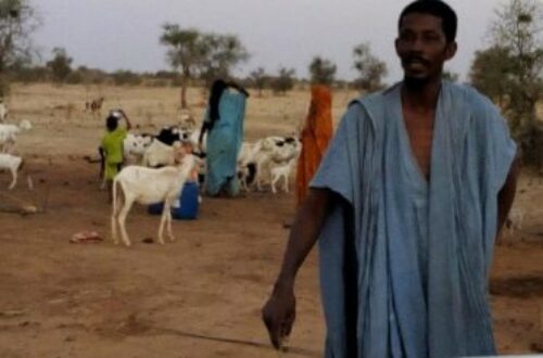 Article : De la crise alimentaire en Mauritanie au crime écologique