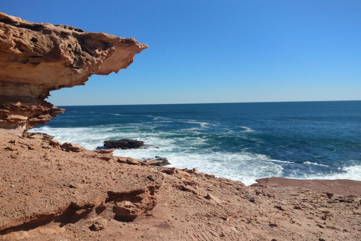 Article : Entre océan et désert, le paradoxe australien