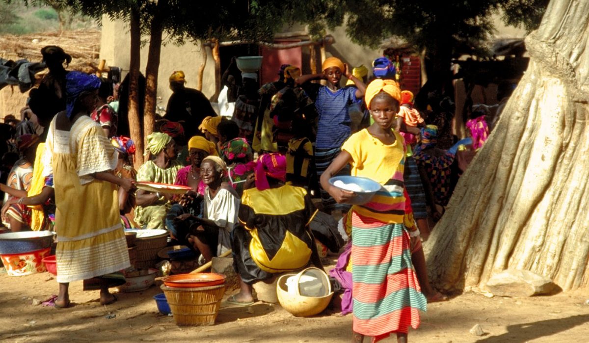 Article : Hamadar : voyage au cœur de l’actualité culturelle du Sahel