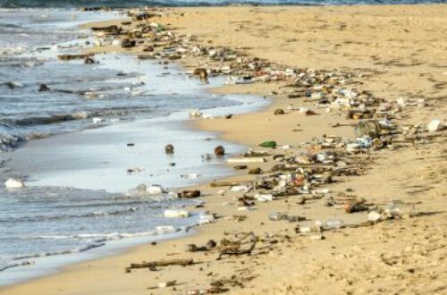 Article : Environnement : combattre la pollution plastique
