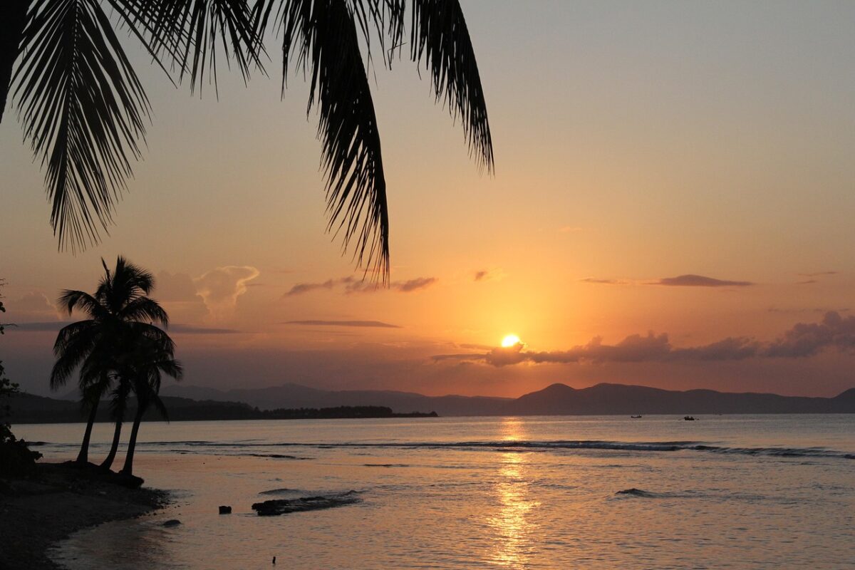 Article : Je rêve de plage et de soleil