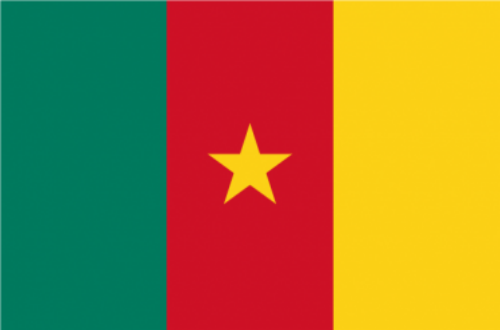 Article : Non, les mbeinguètaires ne sont pas des super-Camerounais !