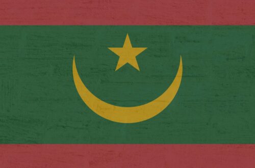 Article : Mauritanie : la commission électorale multiplie les bourdes à l’approche des élections