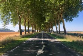 Article : Jour 3 sur la RN7 : de Nevers à Vienne