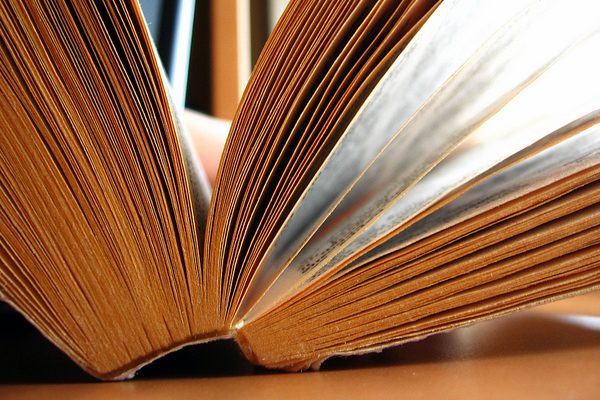 Article : Des ailes et du Lieu