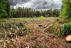 Article : Climackathon, réflexions autour des changements climatiques à Abidjan