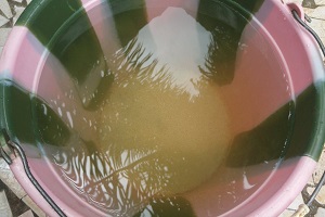 Article : Conakry : je buvais cette eau pollu&eacute;e !