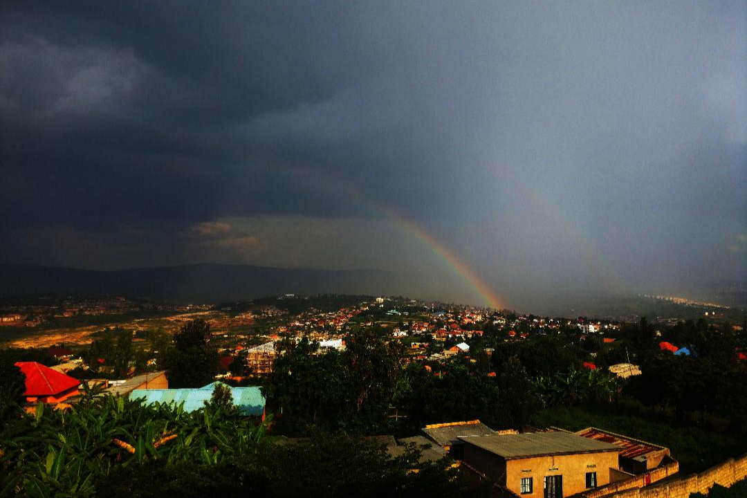 Article : Un arc-en-ciel avec un peu de naïveté dans ce monde de brutes