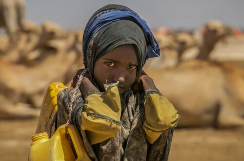 Article : Boulogoudoute, mon village en Somalie