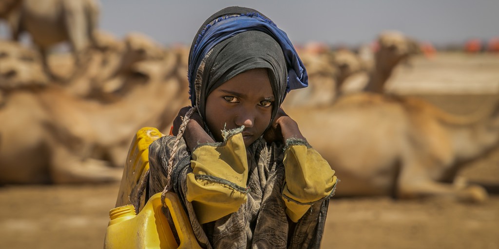 Article : Boulogoudoute, mon village en Somalie