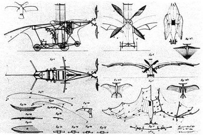 Article : Le premier avion de l’histoire a été inspiré par l’aile de la chauve-souris