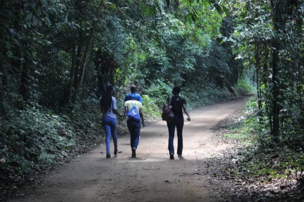 Article : Trois heures de marche et d’air frais dans la forêt du Banco