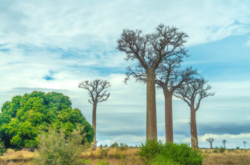Article : Madagascar, proche du trou de la couche d’ozone