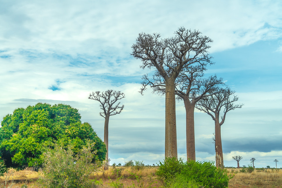 Article : Madagascar, proche du trou de la couche d’ozone