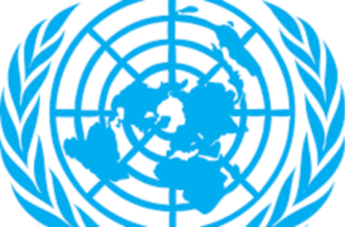Article : L'ONU intensifie son soutien aux États Membres pour répondre à la pandémie de COVID-19 en Afrique de l'Ouest et du Centre