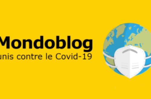 Article : Le covid-19 au Burkina Faso et au Niger