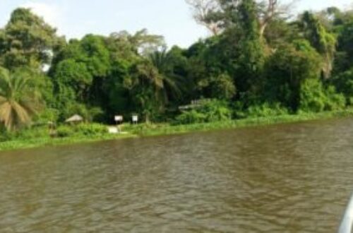 Article : Écotourisme : À la découverte du parc national d’Azagny, en Côte d’Ivoire