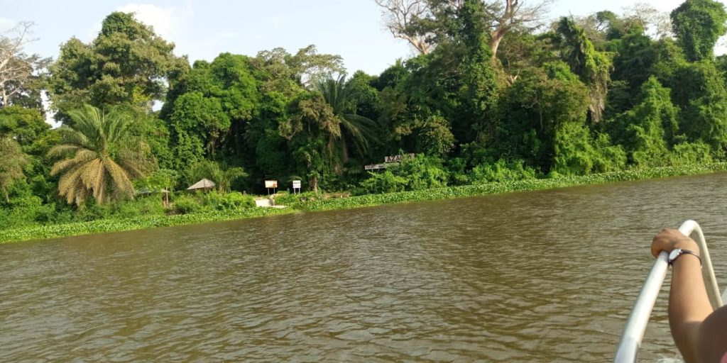 Article : Écotourisme : À la découverte du parc national d’Azagny, en Côte d’Ivoire