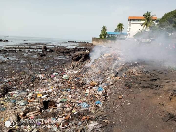 Article : Le sachet plastique&nbsp;: cet autre probl&egrave;me environnemental que nous n&eacute;gligeons