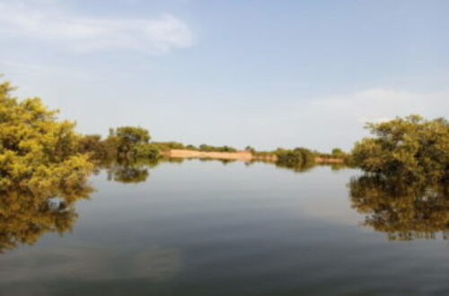 Article : Tchad : à cause des inondations, N’Djaména traverse des moments difficiles