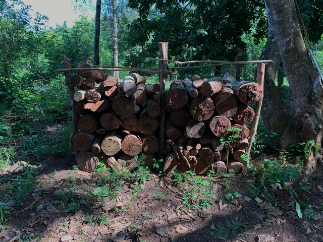 Article : Haïti : des réchauds professionnels pour lutter contre la déforestation