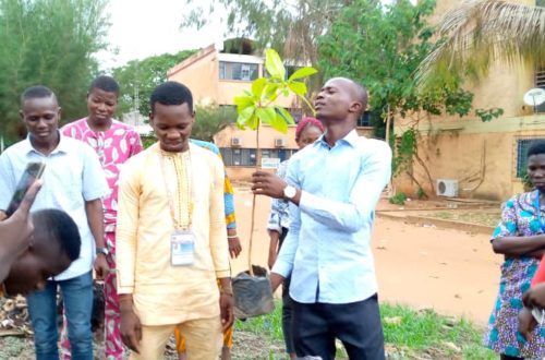 Article : 1er Juin Journée de l’arbre, Radio Univers sacrifie à la tradition