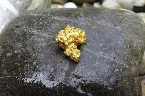 Article : Guinée : la ruée vers les pépites d’or à Kounsitel