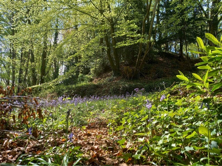 Article : Motten Morvan : archéologie mon amour