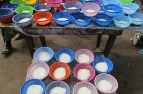 Article : Bénin : La sécurité alimentaire à Glazoué grâce au soja