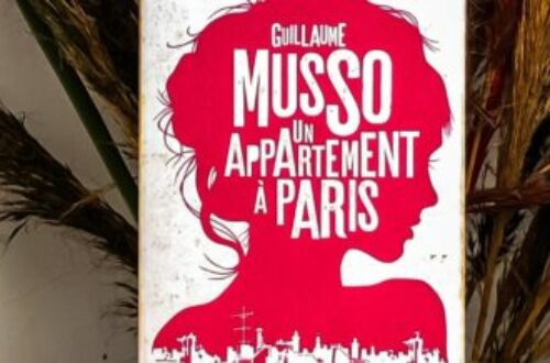 Article : Lecture : « Un appartement à Paris » de Guillaume Musso