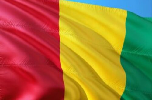 Article : Transition en Guinée : Besoin de transparence et de clarification sur les ambitions du Comité national de rassemblement pour le développement (CNRD)