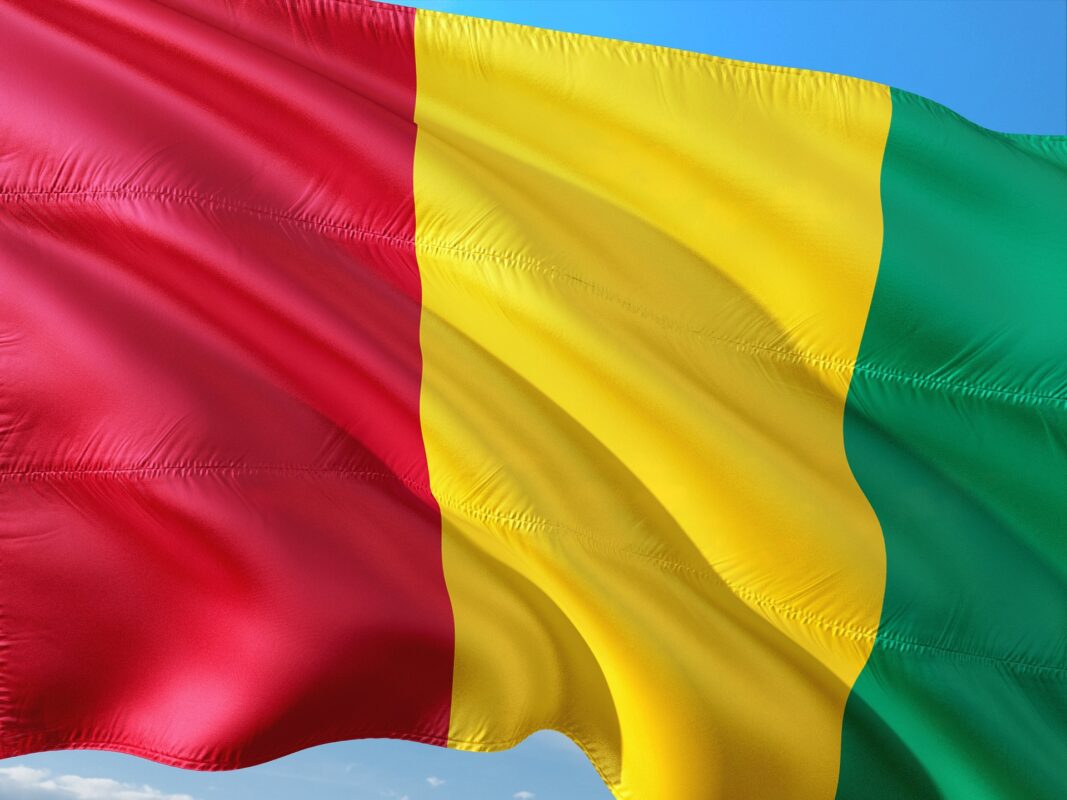 Article : Transition en Guinée : Besoin de transparence et de clarification sur les ambitions du Comité national de rassemblement pour le développement (CNRD)