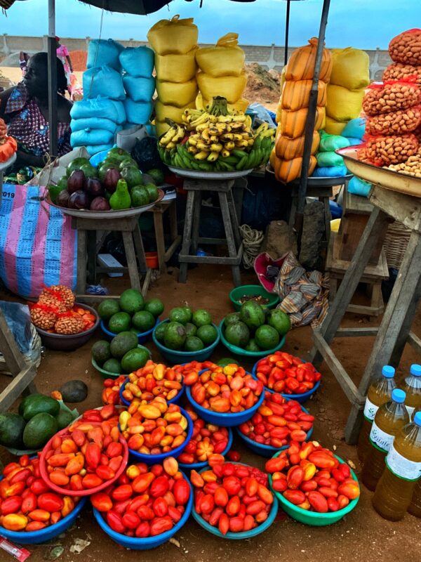 Article : La Mauritanie prépare son premier forum national sur la nutrition et l’alimentation