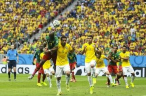 Article : CAN 2022 : mention spéciale au Cameroun