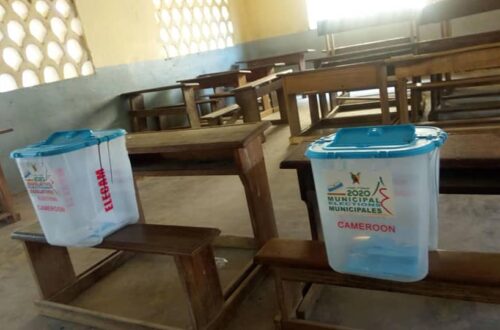 Article : Handicap et droit de vote au Cameroun