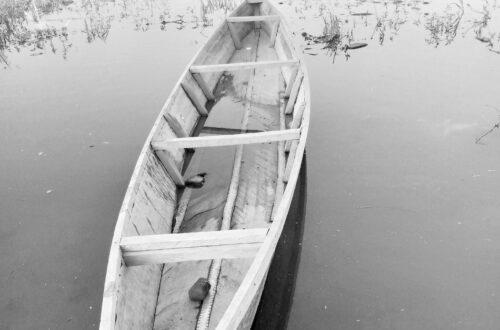 Article : La montée du fleuve Chari : entre noyades et trafic clandestin