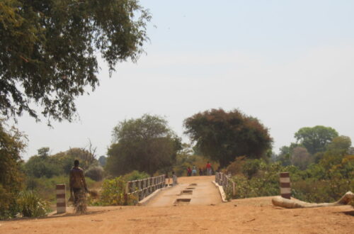 Article : Carnet de voyage (1/2) : sur le périlleux trajet N’Djamena – Moïssala