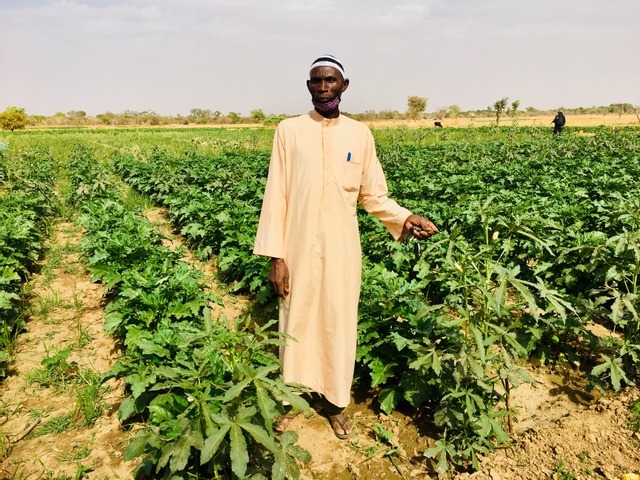 Article : Mauritanie : la Maison Familiale Rurale de Kaédi organise quatre sessions de formation dans le domaine de l’agriculture