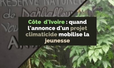 Article : Côte d’Ivoire : quand l’annonce d’un projet climaticide à Dahliafleur mobilise la jeunesse