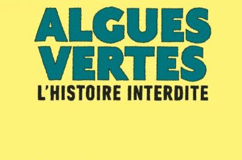 Article : Drôle année de la BD : les bretons mobilisés