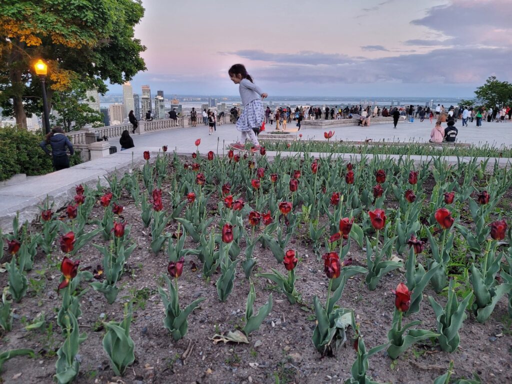 Article : Une visite guidée au cœur des merveilles de Montréal, ça vous tente ?