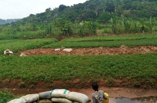 Article : Kinshasa : sans eau ni électricité, les habitants de Mont Ngafula et Selembao sont oubliés