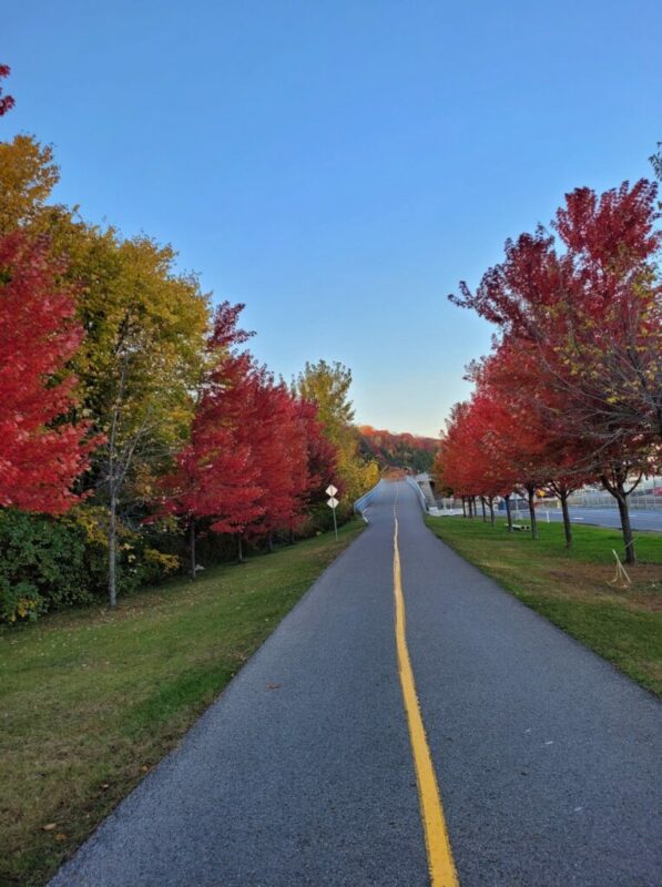 Article : Canada : Moi, dame nature, les plaines d’Abraham et l’escalier du Cap-blanc