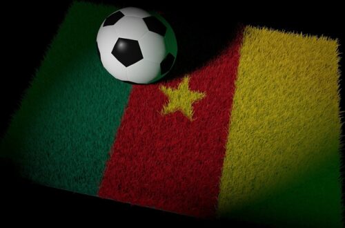 Article : Le Cameroun va battre le Brésil : réponse à Nabil Djellit
