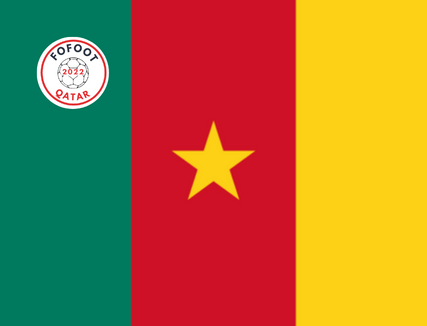 Article : Qatar City&nbsp;: les Lions Indomptables du Cameroun