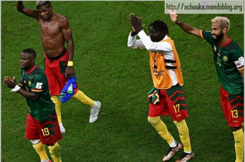 Article : Je demande pardon aux Lions indomptables…